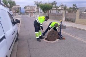 Ajuntament de Xilxes i FACSA activen la campanya especial de control de plagues en la xarxa municipal de clavegueram
