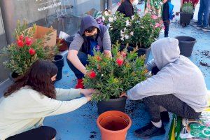 El grup HRJOVE ompli de vida el Casal Jove amb un taller especial de jardineria