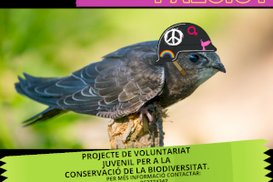 El Ayuntamiento de Xàtiva lanza un proyecto de voluntariado juvenil para la conservación de la biodiversidad
