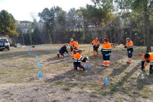 L'Ajuntament d'Alcoi convoca els plans d'ocupació per a joves qualificats i personal forestal i de jardineria