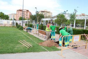 El Ayuntamiento de Alaquàs planta 22 nuevos árboles y arbustos en el parque de la Sequieta