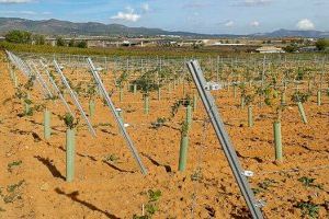 LA UNIÓN informa que los agricultores de Utiel-Requena tendrán este año una dotación de riego de apoyo de 450 m3/hectárea