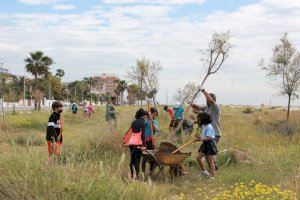 Escolars participen en la plantació d'un bosc litoral de tamarius a la platja de la Malva-rosa de Burriana