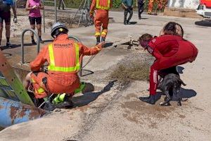 Els bombers rescaten un home i el seu gos a una sèquia de Riola