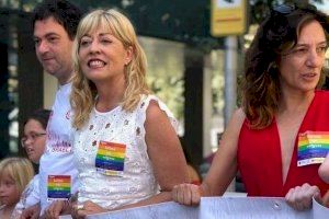 Tormo (PSPV-PSOE) insta a impulsar campañas de sensibilización y promover mecanismos de apoyo y respeto al colectivo LGTBI