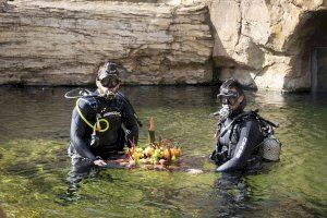 Un pastís subaqüàtic per a celebrar el primer aniversari d'un hipopòtam a València