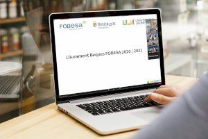 FOBESA i l’UJI lliuren virtualment 26 beques a l’alumnat resident a Benicàssim
