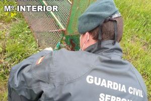 La Guàrdia Civil investiga a dues persones per captura il·legal d'espècies protegides i animals domèstics en la Costanera