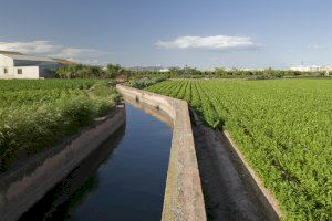 El Consell de l'Horta aprueba unas ayudas directas de medio millón de euros a través de la Conselleria de Agricultura para las personas agricultoras de la comarca