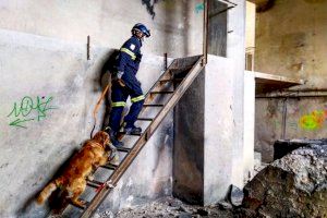 La Unitat Canina de Bombers de València supera el centenar de rescats en els últims sis anys