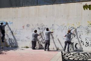 Vox San Vicente llevará al Pleno de mayo la falta de recursos del Servicio de  Investigación de Grafismos de San Vicente