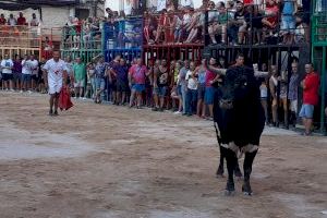 Aquest municipi de Castelló aposta per uns festejos taurins solidaris