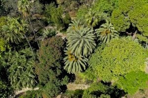El Jardí Botànic celebra el Día del Medio Ambiente con un programa sobre clima, alimentación saludable y renaturalización