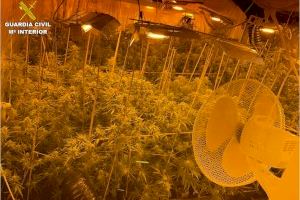 La Guardia Civil localiza una plantación de marihuana en los bajos de un hotel de Villajoyosa