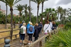 Alicante camina: el nuevo programa de itinerarios peatonales accesibles guiados por la ciudad