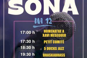 El festival Sueca Sona se celebrará los días 12 y 13 de junio