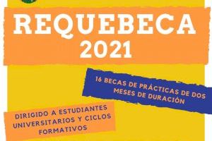 Publicada convocatoria para el programa Requebeca 2021