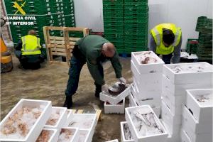 Intervenidos más de 400 kilos de pescado fresco irregular procedente de Santa Pola