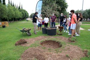 Alaquàs planta "un árbol por Europa" y reafirma su compromiso con el medio ambiente