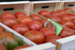 Las Jornadas Gastronómicas de El Perelló siembran del mejor tomate del mundo la oferta de los restaurantes locales del 4 al 13 de junio