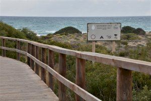El Ayuntamiento y Costas mejoran los accesos a las playas de Elche con dos nuevas pasarelas y un sendero para proteger las dunas