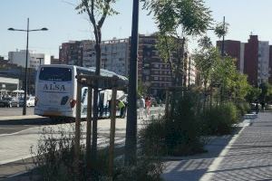 Ciudadanos exige limpiar los alcorques frente a la estación del AVE de Valencia