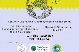 Gandia participa en la neteja de residus de la Marjal per a commemorar el Dia Mundial dels Oceans