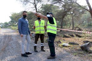 L'Ajuntament de Sagunt i la Diputació de València coordinen treballs de prevenció d'incendis en diverses zones forestals del terme municipal