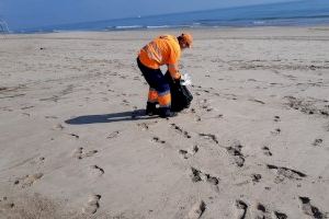 Valencia incrementa los recursos de limpieza en las playas con el inicio de la temporada alta estival