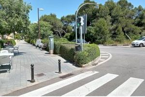 L’Ajuntament de València poda vora 1.500 arbres durant el mes de maig
