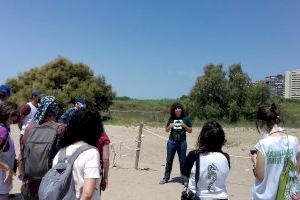 Una vintena de voluntaris ambientals protegeix des d’este cap de setmana el corriol camanegre en la marjal de Rafalell i Vistabella