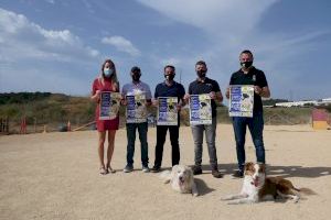 Más de 100 perros competirán en la Final Liga Valenciana de Agility
