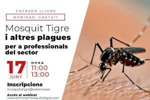 Cerca de un centenar de personas participan en el webinar sobre mosquito tigre organizado por el Ayuntamiento de València