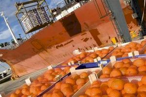 El fin de los aranceles entre EUU y Europa da un balón de oxígeno a la naranja castellonense