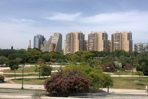 Mundina (PP) advierte que Valencia ha perdido 611 árboles en 2021: “La supuesta ciudad verde de Ribó no existe”