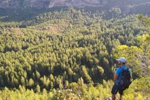 Alzira cuida les seues muntanyes amb un voluntari forestal per a estiu