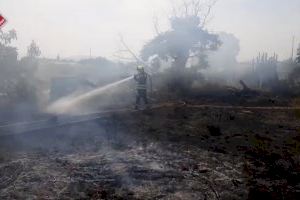 Un incendi en unes restes de poda afecta a la vegetació d'una parcel·la a Elx