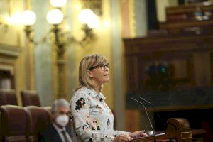 Ros (PSPV-PSOE) celebra l'aprovació al Congrés d'una proposició de llei per a protegir les i els orfes víctimes de violència de gènere