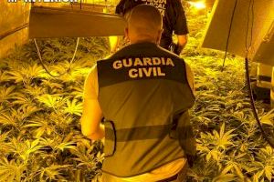 Cae una banda que se dedicaba al cultivo y venta de marihuana en la provincia de Valencia