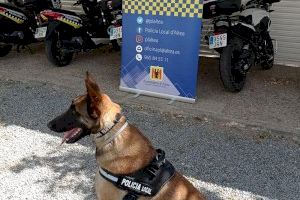 La Policia Local d'Altea estrena unitat canina