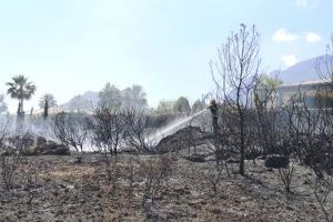 L'incendi de La Nucia crema una hectàrea de vegetació forestal i les cases romanen fora de perill