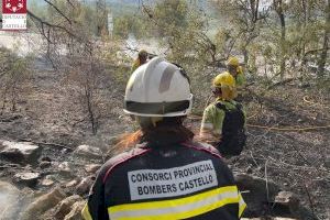 Dispositiu a Castelló: 750 efectius, 200 vehicles i 5 mitjans aeris per a lluitar contra el foc
