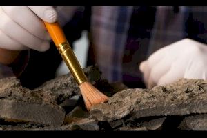 El IVAJ pone en marcha el campo de voluntariado de arqueología 'Obradors' en Manises