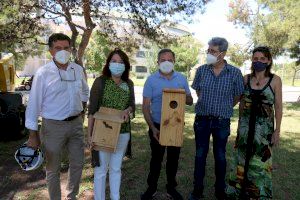 La Universidad de Alicante instala jaulas-nido en el campus para ampliar su biodiversidad