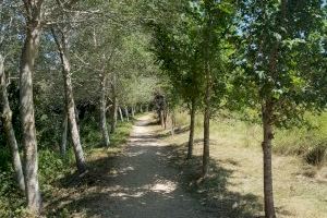 Teulada Moraira organiza tres rutas ecoturísticas nocturnas para este verano
