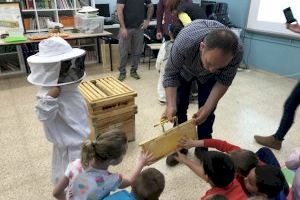 L’Ajuntament adjudica el contracte de sensibilització a la població escolar sobre les abelles