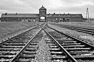 El sistema de camps de concentració nazi i el seu potencial educatiu a debat en un curs d'estiu de la UA