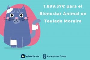 El Ayuntamiento de Teulada recibe una subvención de la Diputación de Alicante destinada a Bienestar Animal