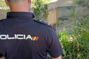 Cinc policies arrisquen la seua vida per a rescatar a una dona que s'ofegava a Oriola