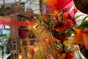 El Ayuntamiento premia a la Floristería Orquídea Haus como ganadora del I Concurso de Escaparates Fogueres de Sant Joan de Alicante con 3.000€